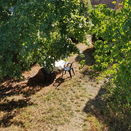 Rendez-Vous Sous Le Tilleul, En Cevennes. Molieres-Cavaillac Dış mekan fotoğraf